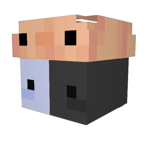 VSFGlitch Minecraft avatar head, 3D render