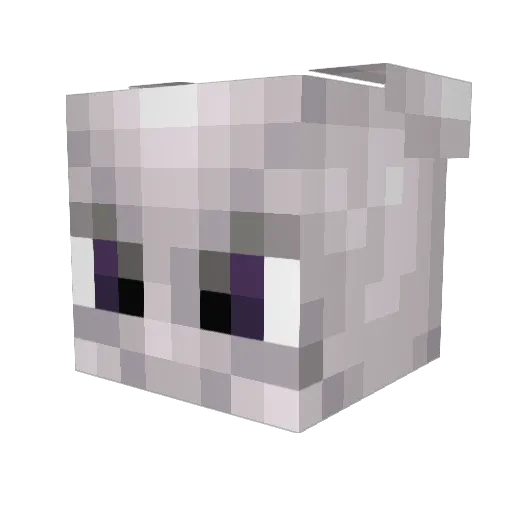 VSL Minecraft avatar head, 3D render