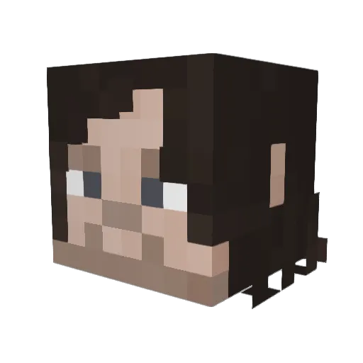 VST_PAX Minecraft avatar head, 3D render