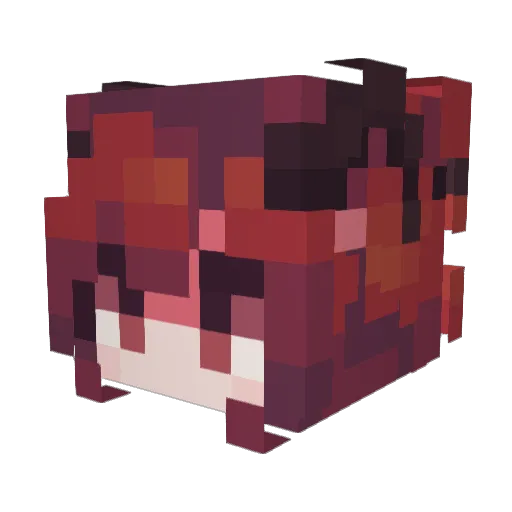 VSlipki Minecraft avatar head, 3D render