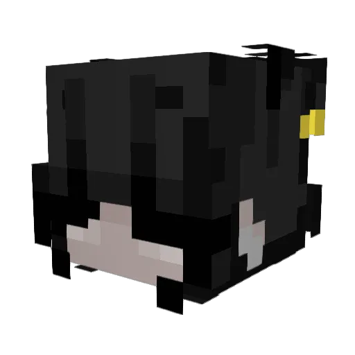 VTuberAshh Minecraft avatar head, 3D render