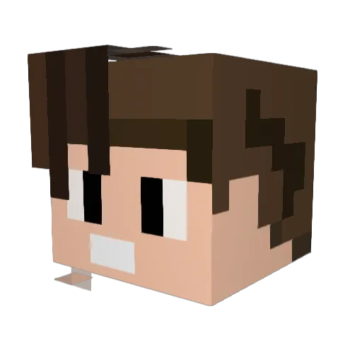 VVSMYNECK600 Minecraft avatar head, 3D render