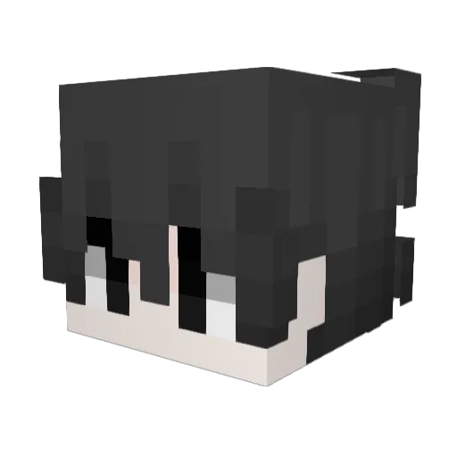 VVSebi Minecraft avatar head, 3D render
