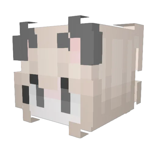 VVVBS Minecraft avatar head, 3D render