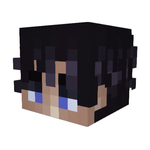 VVestway Minecraft avatar head, 3D render