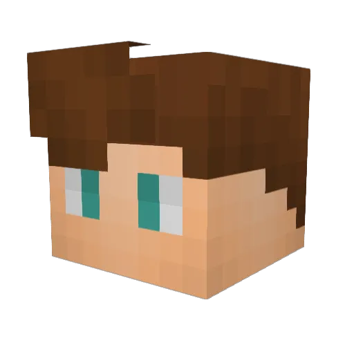 VWPolo Minecraft avatar head, 3D render