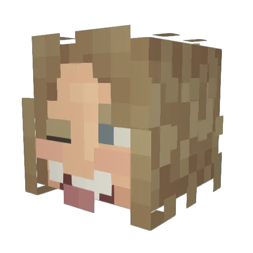 VWVVWVWV Minecraft avatar head, 3D render