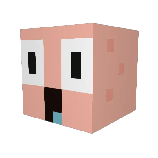 VW_FCKN_TDI Minecraft avatar head, 3D render
