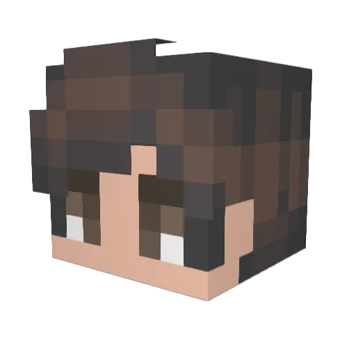 VXXLL Minecraft avatar head, 3D render
