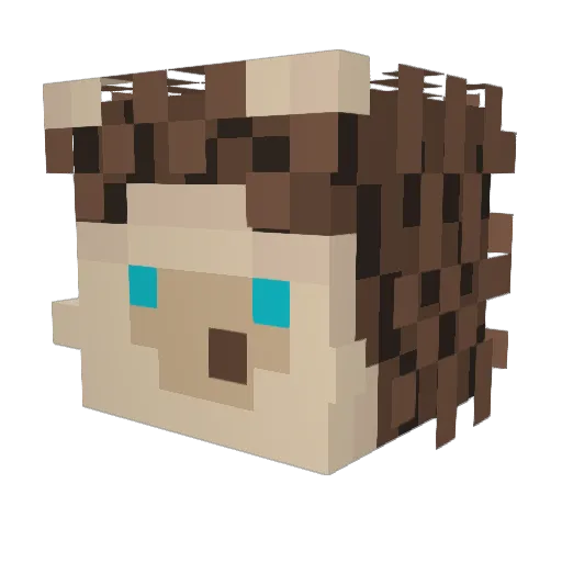 VZavatsky Minecraft avatar head, 3D render