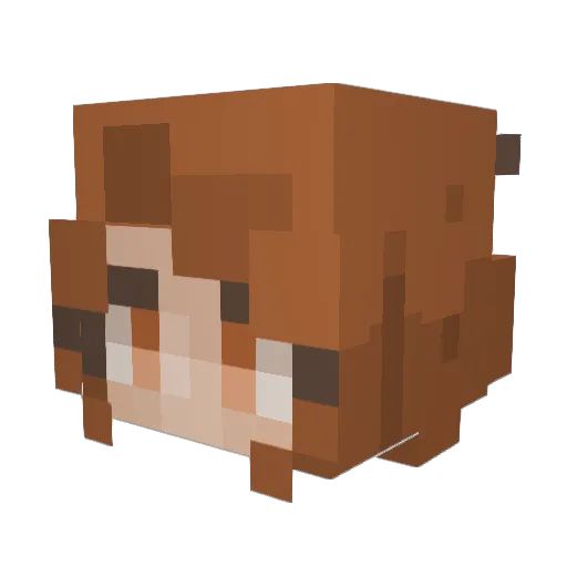 VZsG Minecraft avatar head, 3D render