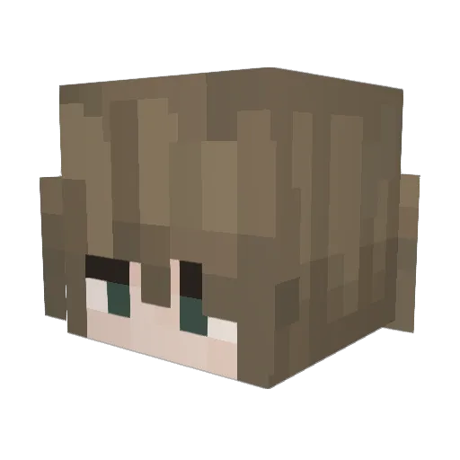 V_Zemetary Minecraft avatar head, 3D render