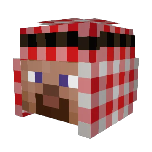 V__z Minecraft avatar head, 3D render