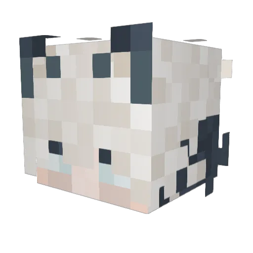 Va1i Minecraft avatar head, 3D render