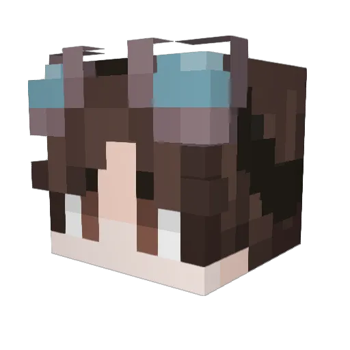 VaKkiL1 Minecraft avatar head, 3D render