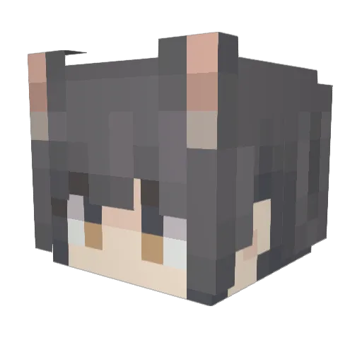 VaLoCya Minecraft avatar head, 3D render
