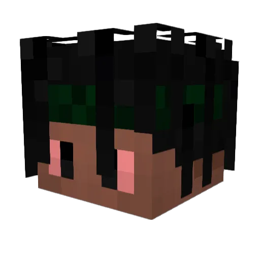 VaPeXvEnOmZ Minecraft avatar head, 3D render