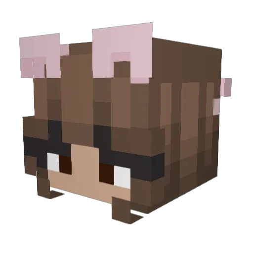 Vaalant Minecraft avatar head, 3D render