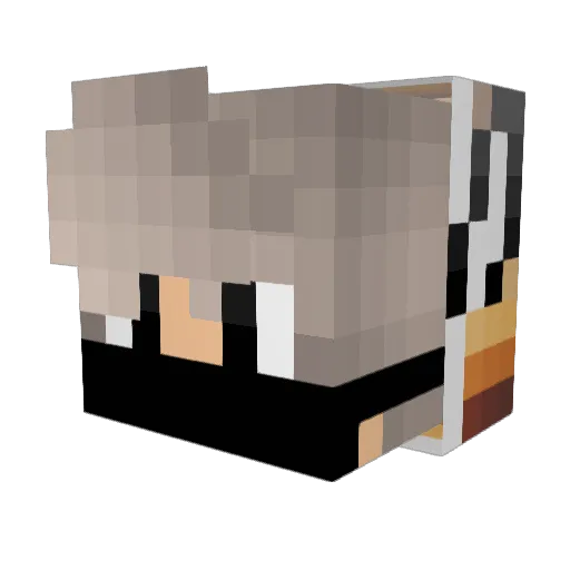 Vaan0208 Minecraft avatar head, 3D render