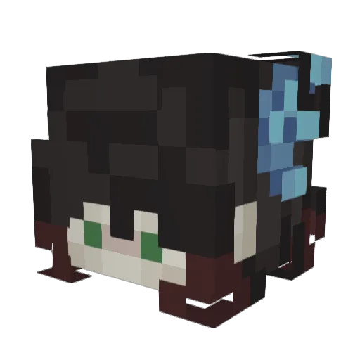 Vaasi Minecraft avatar head, 3D render