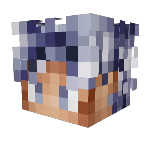 Vaca_DM Minecraft avatar head, 3D render