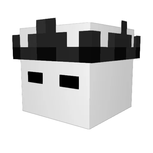 VaceBen Minecraft avatar head, 3D render
