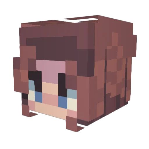 Vaceia Minecraft avatar head, 3D render