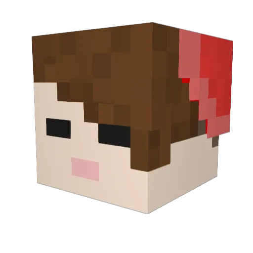 Vacillity_TTV Minecraft avatar head, 3D render
