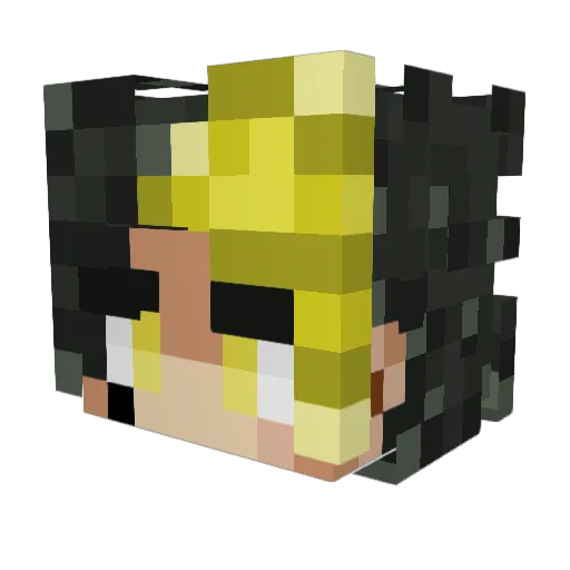 Vactouser534 Minecraft avatar head, 3D render