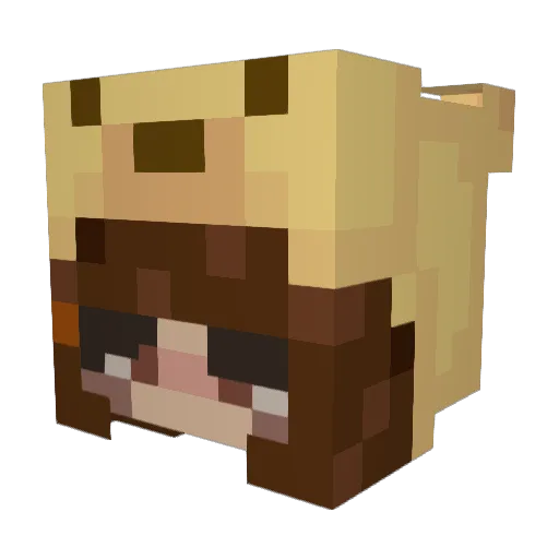 VacuumMouthRick Minecraft avatar head, 3D render