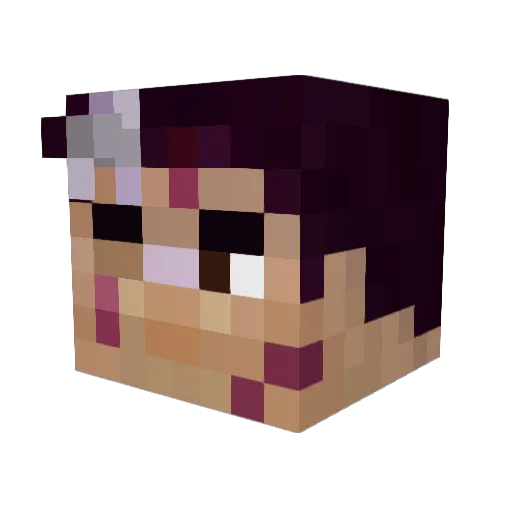 Vacuumtrain09 Minecraft avatar head, 3D render