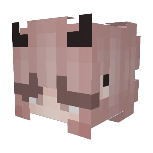 Vadau Minecraft avatar head, 3D render
