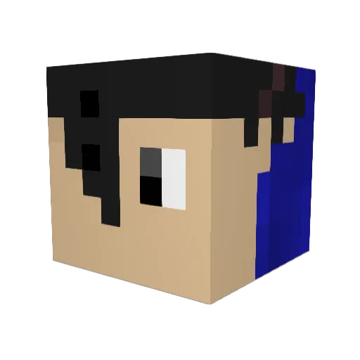 Vader646 Minecraft avatar head, 3D render