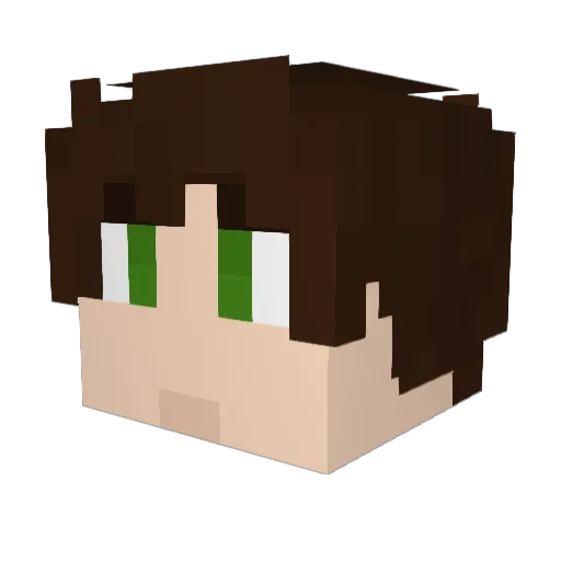 VaderCooper Minecraft avatar head, 3D render