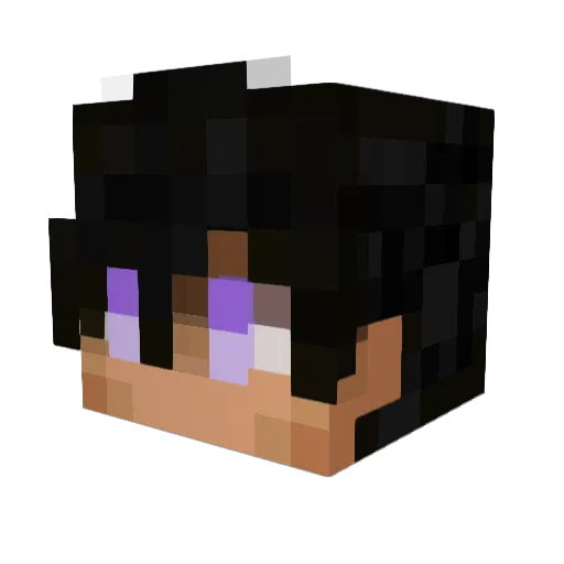 VaderJohan Minecraft avatar head, 3D render