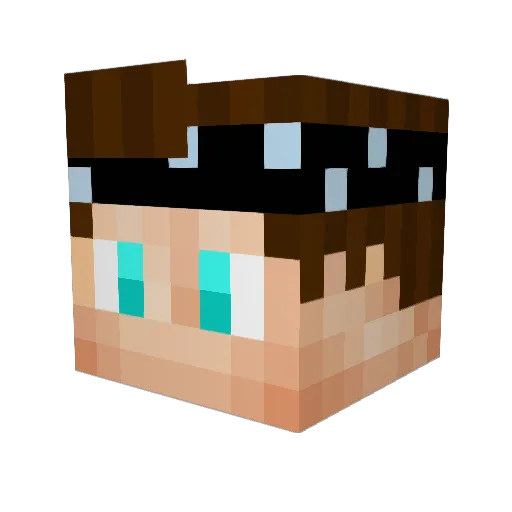 Vader_Walker Minecraft avatar head, 3D render