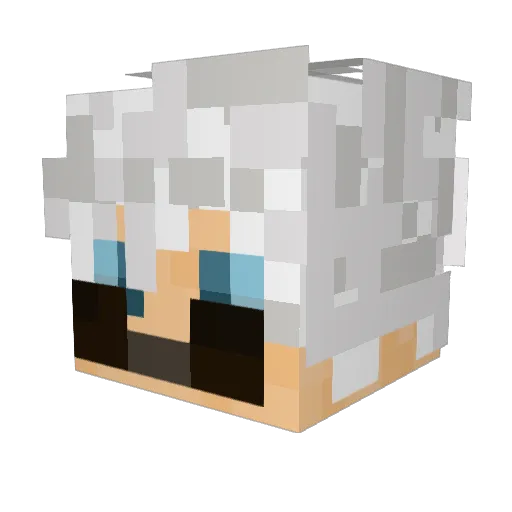 Vaderish_ Minecraft avatar head, 3D render