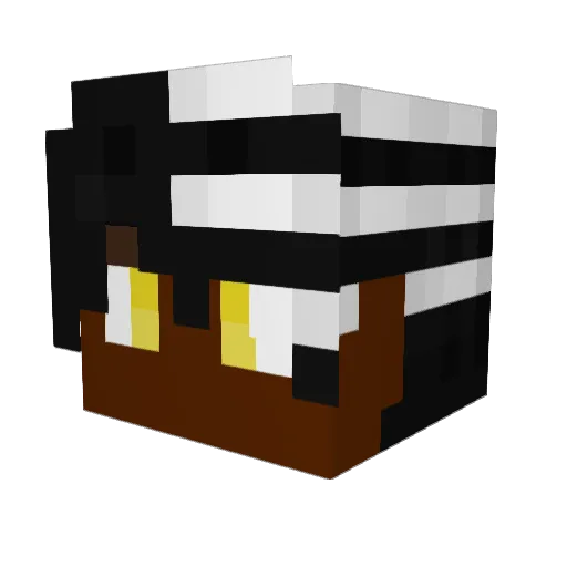 VadersReign Minecraft avatar head, 3D render