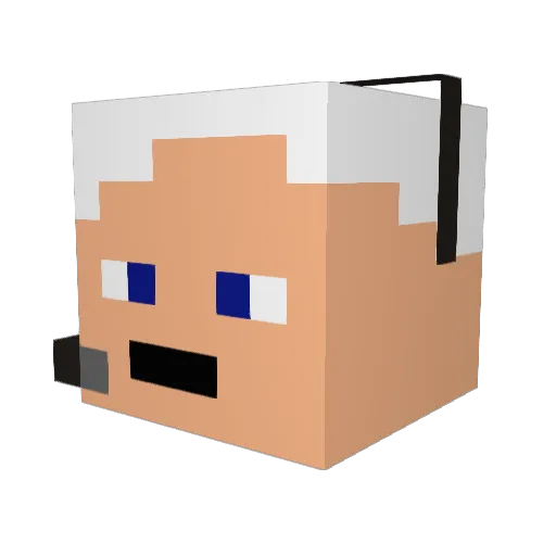 Vadevesi Minecraft avatar head, 3D render