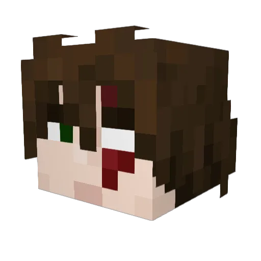 VadiLess_11 Minecraft avatar head, 3D render