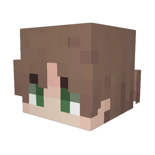 VadimPlett Minecraft avatar head, 3D render