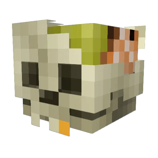 Vadozoff Minecraft avatar head, 3D render