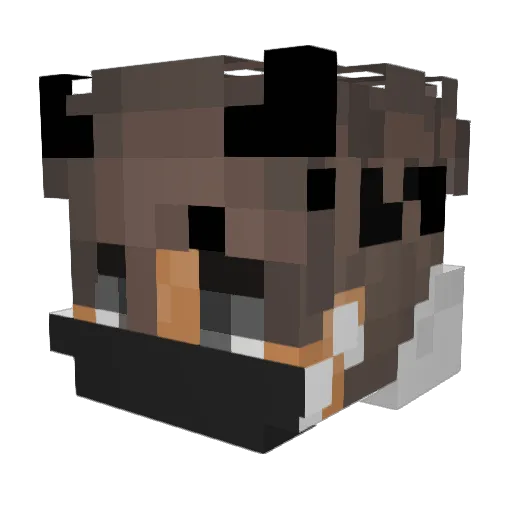 Vadym1806 Minecraft avatar head, 3D render