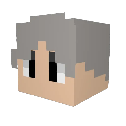 Vae116 Minecraft avatar head, 3D render
