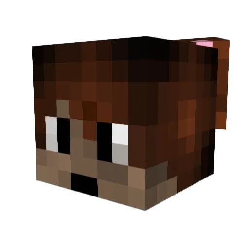 VaelVoidBorn Minecraft avatar head, 3D render