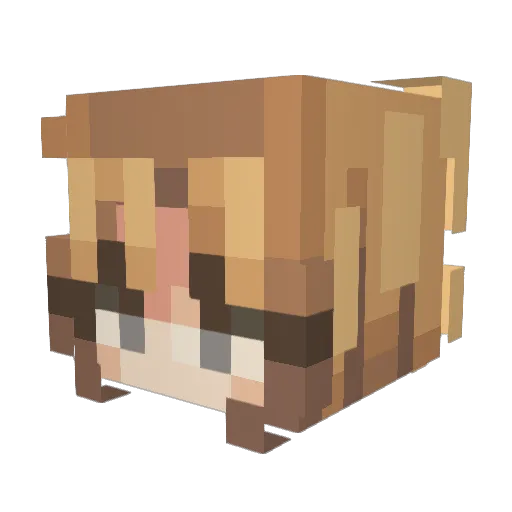 Vaelstice Minecraft avatar head, 3D render
