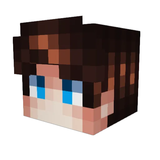 Vaenne Minecraft avatar head, 3D render