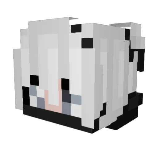 Vaeqor07 Minecraft avatar head, 3D render