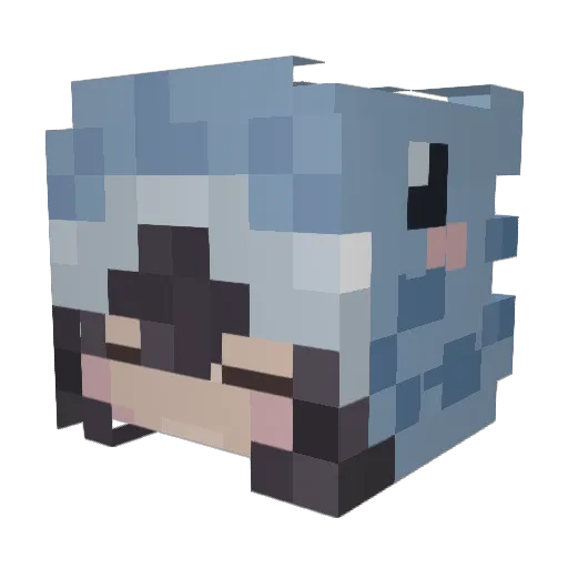 Vaesa_ Minecraft avatar head, 3D render