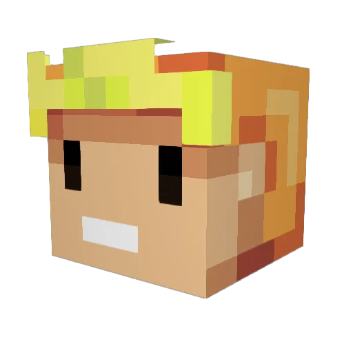 Vagab0nD_ Minecraft avatar head, 3D render